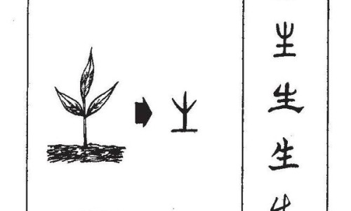 免益多维蛋白粉的功效与作用及副作用-免疫多维营养蛋白质粉有什么功效网 - 为你提供免疫球蛋白多维蛋白营养粉多少钱、免疫蛋白粉有用吗